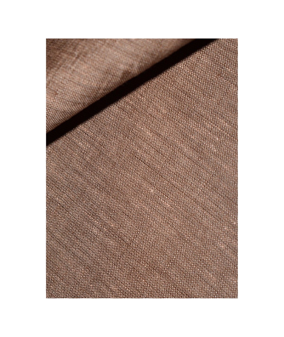 Lin uni Camel
